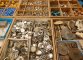 Casse di orologi, perline e fossili al mercato di Porta Portese