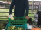Claudio dell'azienda agricola biologica Caramadre coni suoi ortaggi al mercato della Città dell'Altra economia